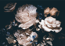 Load image into Gallery viewer, Velvet Peony
